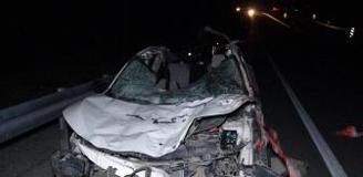 Malatya'da feci olay: Milyonluk taylar karayolunda telef oldu