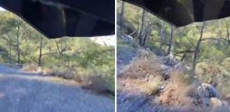 Uçuruma yuvarlanırken tek bir kelime haykırdı