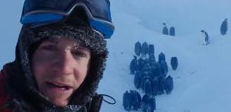 Vahşi yaşam ekibinden belgesel tarihine geçecek müdahale! Sosyal medya ikiye bölündü