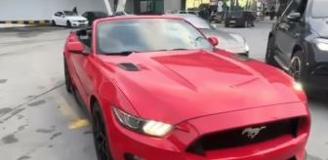 Gümrükten usulsüz geçirilen 65 lüks araca el konuldu: 22 gözaltı