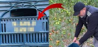 Domatesleri topladığı kasaya bile onun adını yazdırdı