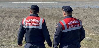 Jandarma flamingolar için 24 saat mesaide