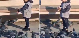 Çöp kamyonunun altında kalıp ölen Serhat'ın son görüntüleri ortaya çıktı