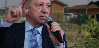 Hobi bahçeleri ne olacak? İşte Erdoğan'ın tartışmalı düzenleme için verdiği talimat