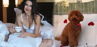Nesrin Cavadzade’den köpeği Dolce'ye doğum günü partisi
