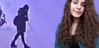 Gülistan Doku soruşturmasında dönemin Tunceli Valisi Tuncay Soney'in oğlu da gözaltına alındı