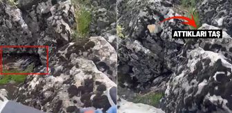 Diyarbakır'da bir garip olay! Korkup taşa tuttukları şey bakın ne çıktı