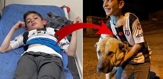 Köyün kahramanı! Kral, bu kez 10 yaşındaki Sencar'ı kurtardı