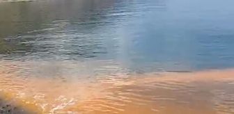 Marmara'da deniz suyundaki renk değişiminin altından planktonlar çıktı