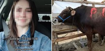 370 bin TL'lik kurbanı 210 bin TL'ye aldı, sorduğu soru olay oldu