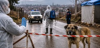 Van'ın Edremit ilçesinde kuduz alarmı: 7 mahalle karantinaya alındı