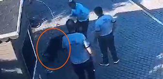 Salihli'de hem güvenlik görevlisine hem de köpeğe tekmeli saldırıya tutuklama