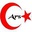 Haber Yorumları