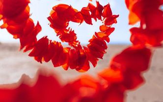Love bombing nedir?
