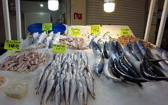 Balık fiyatları neden düştü? Tezgahlar doldu taştı