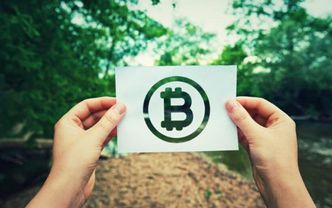 Kripto varlıklar çevre dostu olmalı