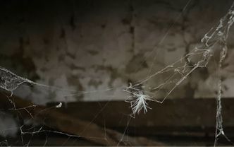 İlişkilerdeki tehlikeler; love bombing, gaslighting, ghosting
