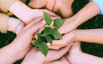 Özgecilik nedir?