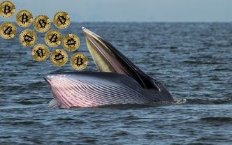 Bitcoin’de