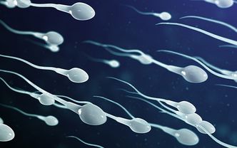 Sperm sayısı normal ama gebelik neden olmuyor? Sperm DNA hasarı nedir?