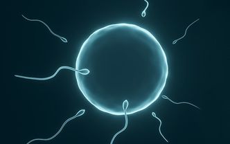 Sperm yokluğu: Azospermi nedir, nasıl yaklaşılmalı?