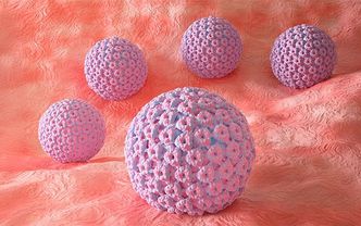 HPV enfeksiyonu hakkında ne biliyorsunuz?