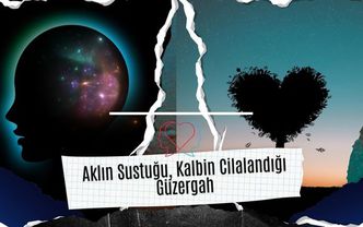 Aklın Sustuğu, Kalbin Cilalandığı Güzergâh
