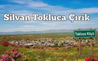 Tokluca Köyü Derneği Örnek Dayanışma Yardım Eli Kültür ve Birlik Bir Arada