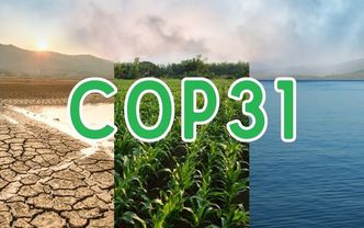 COP31: Türkiye’nin en pahalı vitrini mi, dönüşüm fırsatı mı?
