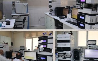 Masumu Cezalandırıp Suçluyu İzlemekle Gıda Güvenliği Sağlanamaz