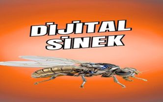 Dijital Sinek’ten Dijital İnsana: Bilincin Kodlanma Serüveni (Ölümsüzlük Paradoksu)