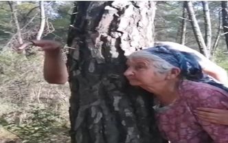 Orman giderse yaşamda gider.