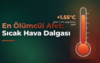 En ölümcül afet : Sıcak hava dalgası