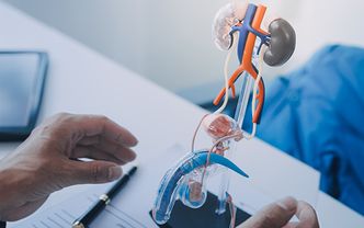 Erkeklerde hormonal değişimlerin idrar sistemine etkileri nelerdir?