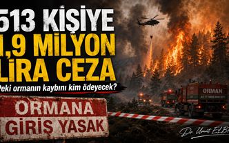 513 kişi, 1,9 milyon lira ceza... Peki ormanın kaybını kim ödeyecek?