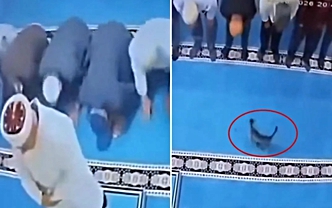 Sende olmayanı dilemez misin