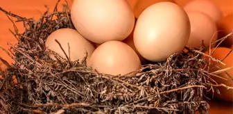 Rüyada yumurta görmek ne anlama gelir? Rüyada kırık yumurta görmek nedir? Rüyada çatlak, bozuk yumurta görmek ne anlama gelir?