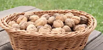 Rüyada ceviz görmek ne anlama geliyor? Rüyada ceviz içi görmek nedir? Rüyada kabuklu ceviz görmek ne demek?