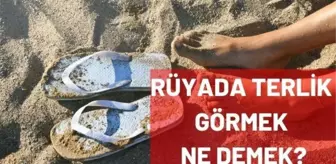 Rüyada terlik görmek ne anlama gelir? Rüyada terlik giymek ne manaya gelir? Rüyada siyah terlik görmek, beyaz terlik görmek ne demek?