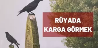 Rüyada karga görmek ne demek? Rüyada karga sürüsü görmek ne anlama gelir?