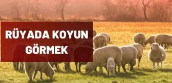 Rüyada koyun sürüsü görmek ne anlama gelir? Rüya tabirleri - Rüyada koyun kuzu görmek anlamları!