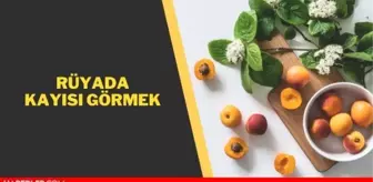 Rüyada kayısı görmek anlamı nedir? Rüyada kayısı ağacı görmek anlamı nedir? Rüyada kayısı yemek, almak, satmak, çalmak nedir?