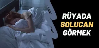 Rüyada solucan görmek ne anlama gelir? Rüyada solucan kurt görmek, rüyada beyaz solucan görmek