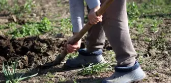 Rüyada toprak kazmak ne anlama gelir? Rüyada toprak yemek, toprak atmak, toprak almak ne demek?