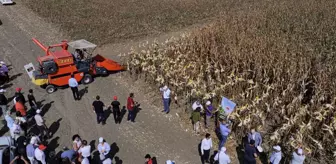 Adana'da Yeni Mısır Çeşidi 'Kale' Tanıtıldı