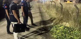 Ticaret Bakanlığı'ndan Kocaeli'de boş araziye salatalık döken kişiye dev ceza