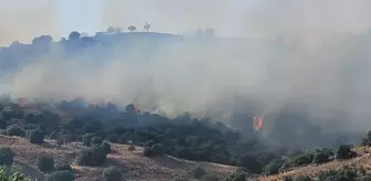 Aydın'da korkutan yangın! 3 kişi hastanelik oldu