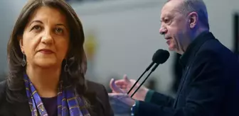 Erdoğan'ın 'Birlikte yürüyeceğiz' sözlerine DEM Parti'den ilk yanıt! Buldan açıklık getirdi