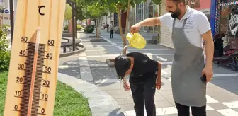Tüm zamanların sıcaklık rekorunun kırıldığı Silopi'de hayat durma noktasına geldi