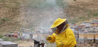 5 kovanla başladı, şimdi Türkiye'nin dört bir yanına bal satıyor